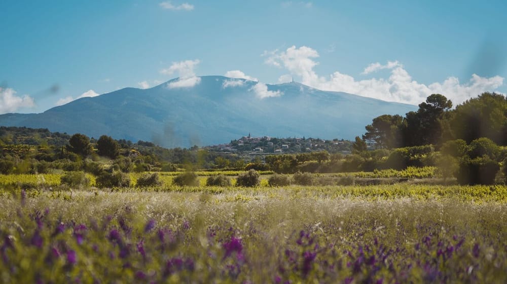 Concours des vins AOC Ventoux : le palmarès de cette 46ème édition ! post image